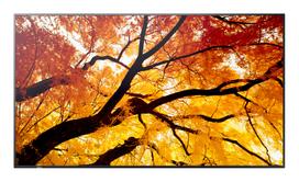 3840x2160 monitoriai - Sharp M862 86", 4K Ultra HD, 24/7, 550cd/m² - 2 nuotrauka