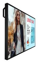 24 4k monitorius - Philips P-Line 50BDL6017P - 3 nuotrauka