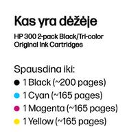 spausdintuvo 301 - HP 300 ink combo pack black/tri-color BL | CN637EE#301 - 4 nuotrauka