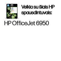 spausdintuvo 301 - HP 903 CMYK Original Ink Cartridge | 6ZC73AE#301 - 2 nuotrauka