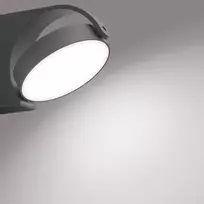 philips mimosa - Philips - LED Sieninis lauko šviestuvas MIMOSA LED/7W/230V 4000K IP44 - 7 nuotrauka