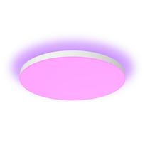 lubiniai sviestuvai - Philips Hue Datura Didelis Lubinis Šviestuvas RD XL (Balta/White) - 3 nuotrauka