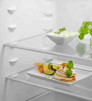 imontuojamas saldytuvas 1772 - Electrolux LNA7NE18S - 5 nuotrauka
