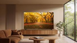 tcl google tv - TCL 98C8L SQD-Mini LED - 11 nuotrauka