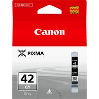 rasalai spausdintuvo - CANON 1LB CLI-42 GY ink grey | 6390B001 - 2 nuotrauka
