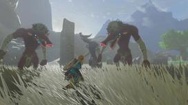 zelda tears kingdom - Zelda Tears of the Kingdom Collector's Edition Switch - 10 nuotrauka