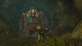 zelda tears kingdom - Zelda Tears of The Kingdom Collector's Edition - 9 nuotrauka
