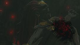 zelda tears kingdom - Zelda Tears of The Kingdom Collector's Edition - 12 nuotrauka