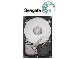 lauko vazonai - Seagate Video 3.5 3TB 5900RPM SATA3 64MB ST3000VM002 - 5 nuotrauka