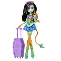 monster high rinkinys - Mattel Monster High Jinafire Long lėlė su priedais 28 cm - 7 nuotrauka
