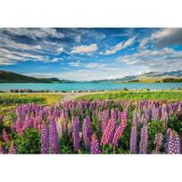 59 x 84 - Clementoni Lupins At Lake Tekapo 31728, 59.2 x 84.4 cm, 1500 det. - 3 nuotrauka