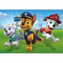 paw patrol senukai - Clementoni Paw Patrol SuperColor, 2 x 20 det. - 5 nuotrauka