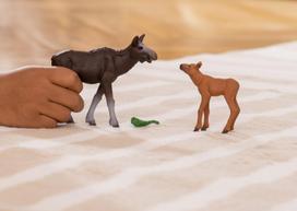 elnias figura - Žaislinė figūrėlė Schleich Wild Life Moose With Calf 42603S, įvairių spalvų - 3 nuotrauka