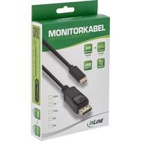 3m usb - Kabelis USB InLine InLine Adapteris USB - DP - USB Typ C męski na DisplayPort męski (DP Alt Mode) 4K2K - juoda - 3m - 5 nuotrauka