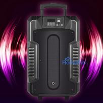 manta kolonele - Manta SPK1203B100 LETO 100W Bluetooth Karaoke USB AUX - 4 nuotrauka