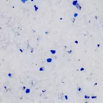 silikoninis gelis - Silikoninis kraikas Silica Gel 10L - 3 nuotrauka