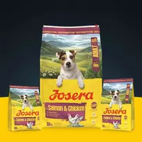 sunu maistas 10 kg - Sausas šunų maistas Josera Mini, vištiena/lašiša, 10 kg - 3 nuotrauka