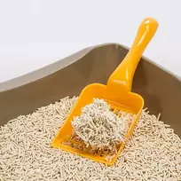 tofu - Expertus Tofu kraikas katėms bekvapis, 6 l - 2 nuotrauka
