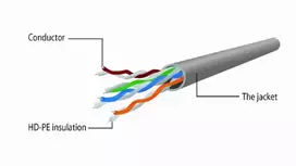 cat 5e senukai - Gembird CAT e5 UTP Patch Cable Pink 3m - 2 nuotrauka