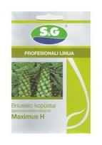 Briuselio kopūstų sėklos MAXIMUS H, 15 vnt./pak.