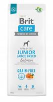 salmon brit care 12 kg - Brit Care Grain-Free Junior Large Breed Salmon & Potato 12 kg - 3 nuotrauka