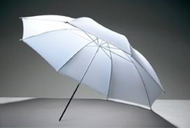 sketis - Godox UB-008 permatomas skėtis (84cm) - 1 nuotrauka