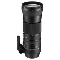 600mm objektyva - Sigma 150-600mm f/5-6.3 DG OS HSM Contemporary for Canon - 6 nuotrauka