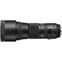 600mm objektyva - Sigma 150-600mm f/5-6.3 DG OS HSM Contemporary for Canon - 10 nuotrauka