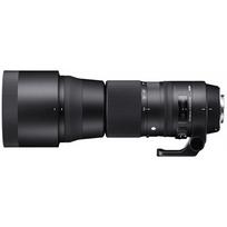 600mm objektyva - Sigma 150-600mm f/5-6.3 DG OS HSM Contemporary for Canon - 11 nuotrauka