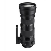 600mm objektyva - Sigma 150-600mm f/5-6.3 DG OS HSM Contemporary for Canon - 12 nuotrauka