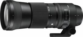 600mm objektyva - Sigma 150-600mm f/5-6.3 DG OS HSM Contemporary for Canon - 16 nuotrauka