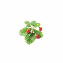Click and Grow Refill 3-Pack - Wild Strawberry