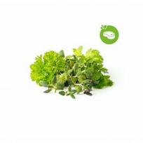 Click and Grow Refill 9-Pack - Grill & Steak Seasoning Mix