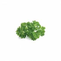 Click and Grow Refill 3-Pack - Parsley