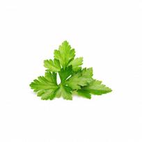 Click and Grow Refill 3-Pack - Coriander