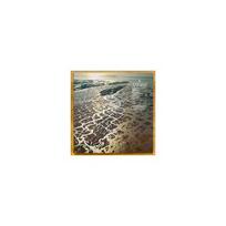 FLEET FOXES: SHORE 2LP