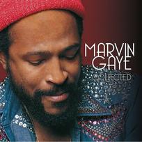 Gaye Marvin: Collected 2LP