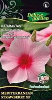 Katarantų MEDITERRANEAN XP STRAWBERRY XP sėklos, 10 vnt./pak.