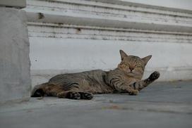 zoom f3 - Fujifilm Fujinon XF18-135mmF3.5-5.6 R LM OIS WR - 4 nuotrauka