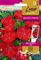 Petunijos (surfinijos) Easy Wave H Red