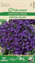 Paprastosios lobelijos Crystal palace