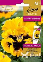 NAŠLAITĖS DARŽELINĖS FRIZZLE SIZZLE H YELLOW „LUCIA ELITE” 25 S