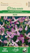 Dviragės leukonijos Rose