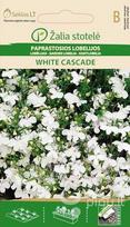 Paprastosios lobelijos White cascade