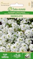 Pajūrinės lobuliarijos Snowcloth