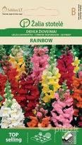 Didieji žioveiniai Rainbow