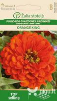Puikiosios gvaizdūnės jurgininės ORANGE KING
