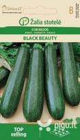 Cukinijos Black beauty