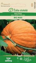 MOLIŪGAI BIG MAX