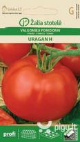 Valgomieji pomidorai Uragan H